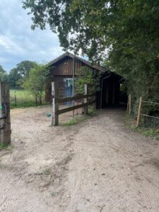Stall, Offenstall, Selbstversorger zu verpachten – Foto 2