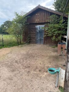 Stall, Offenstall, Selbstversorger zu verpachten – Foto 3