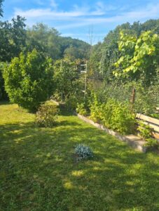 Pachtgarten Nähe Syratal – Foto 2