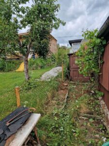 Pachtgarten ab sofort – Foto 2