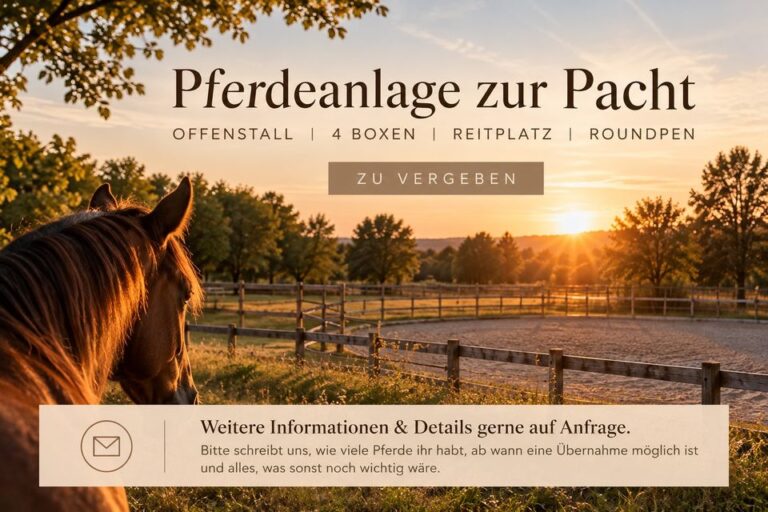 Offenstall zur Pacht - Pächter gesucht