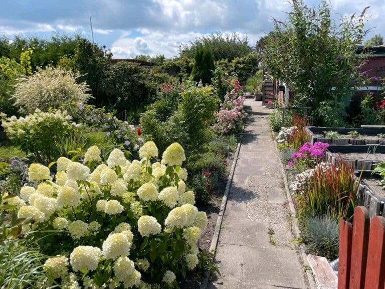 Kleingarten, Schrebergarten in Marli zu verpachten.