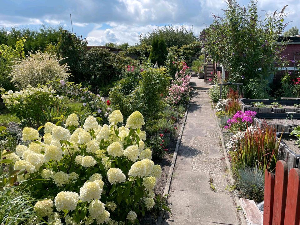 Kleingarten, Schrebergarten in Marli zu verpachten.
