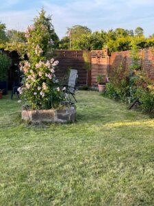 Kleingarten, Schrebergarten in Marli zu verpachten. – Foto 4
