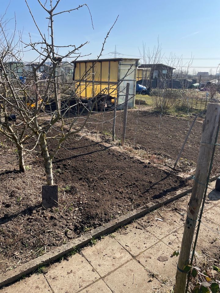 Schrebergarten,Garten , Pachtgarten