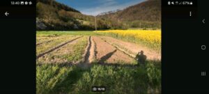 Landwirtschaft günstig abzugeben/zu verpachten mit Vorkaufsrecht – Foto 3