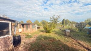 Pachtgarten in Wanzleben