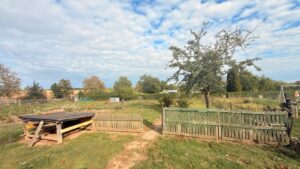 Pachtgarten in Wanzleben – Foto 2