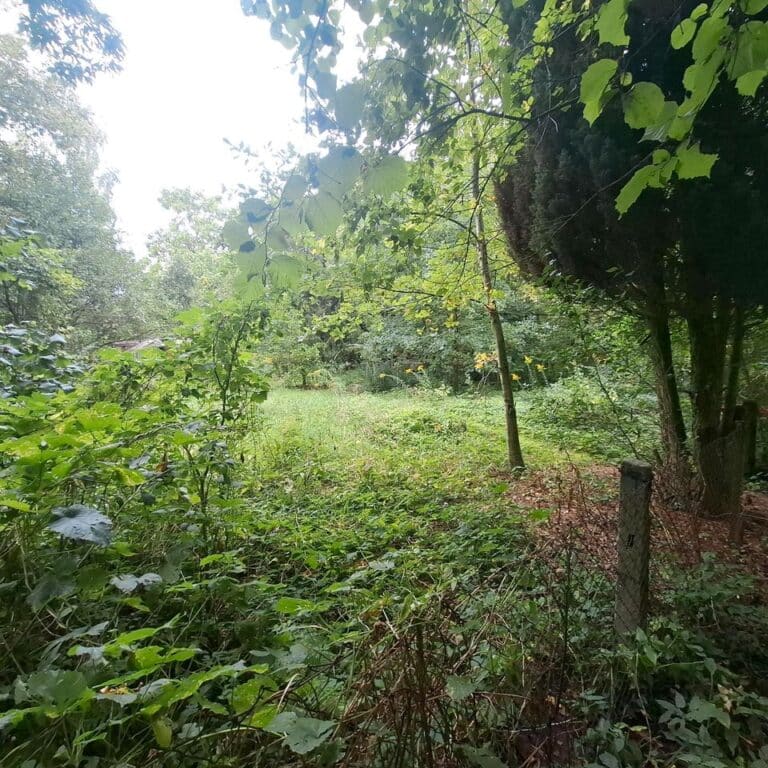 Garten zu verpachten