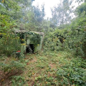 Garten zu verpachten – Foto 2