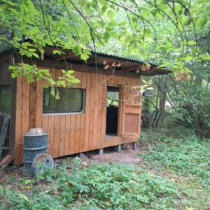 Garten zu verpachten – Foto 4