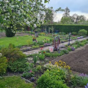 Pachtgarten in Mühlhausen/Thüringen, massivem Gartenhaus, Brunnen – Foto 3