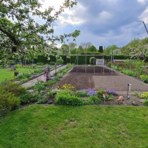 Pachtgarten in Mühlhausen/Thüringen, massivem Gartenhaus, Brunnen – Foto 4