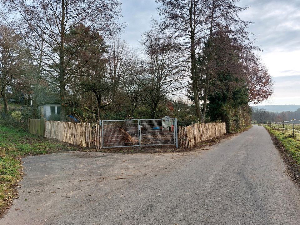 Garten zu verpachten