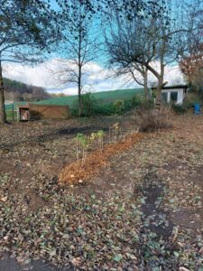 Garten zu verpachten – Foto 5