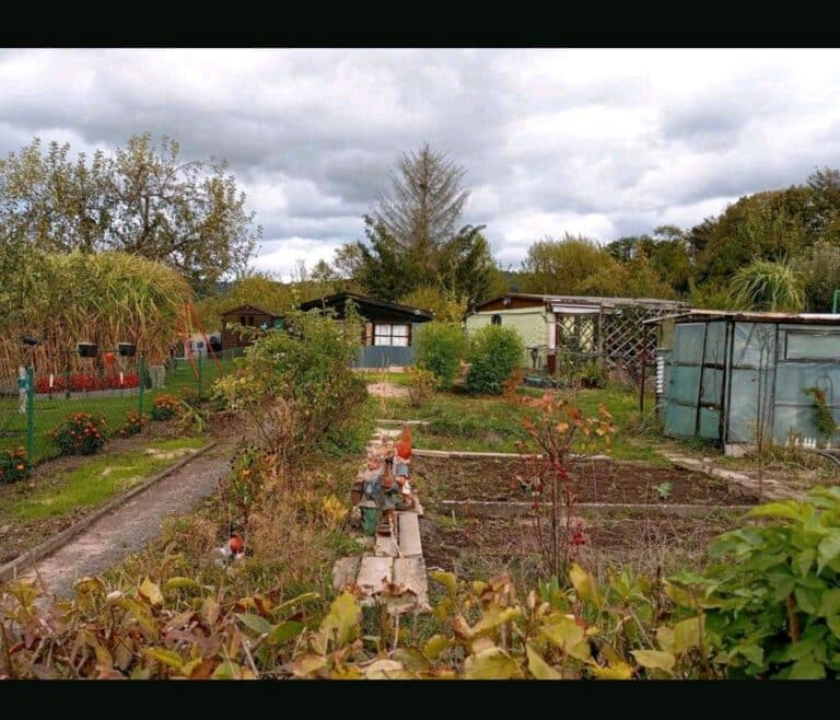 Gartenhütte mit Gewächshaus im Pachtgarten