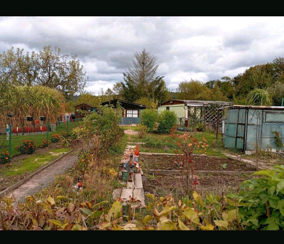 Gartenhütte mit Gewächshaus im Pachtgarten
