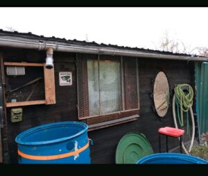 Gartenhütte mit Gewächshaus im Pachtgarten – Foto 3