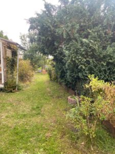 Pachtgarten in Neubrandenburg - 300qm mit Laube, Küche&Bad – Foto 3