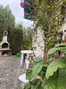 Pachtgarten in Neubrandenburg - 300qm mit Laube, Küche&Bad – Foto 4