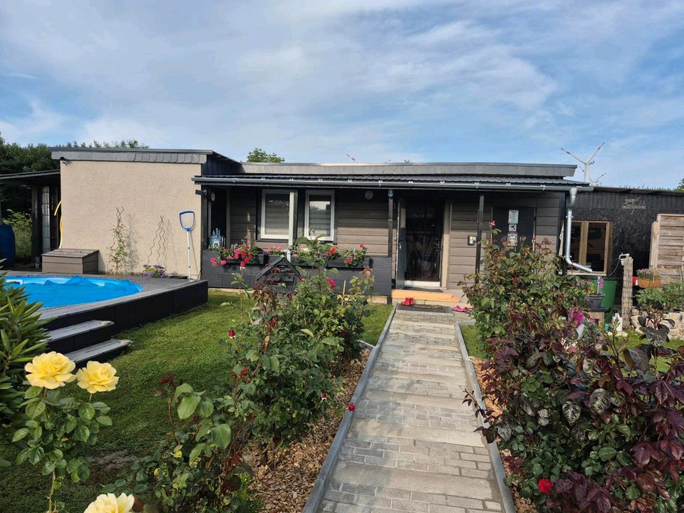 Pachtgarten 600 m2 in Kleinhelmsdorf