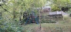 Pachtgarten in Weimar – Foto 2