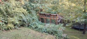 Pachtgarten in Weimar – Foto 4