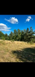 Pachtwiese / Pachtgrundstück / Futterwiese – Foto 2