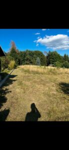 Pachtwiese / Pachtgrundstück / Futterwiese – Foto 3