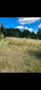 Pachtwiese / Pachtgrundstück / Futterwiese – Foto 5