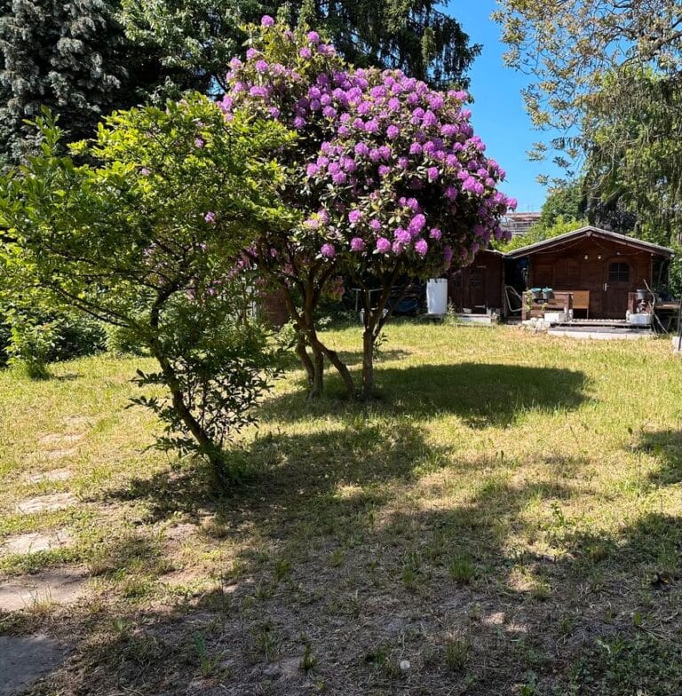 Schrebergarten in Sonnenberg mit Abstand *Pachtvertrag