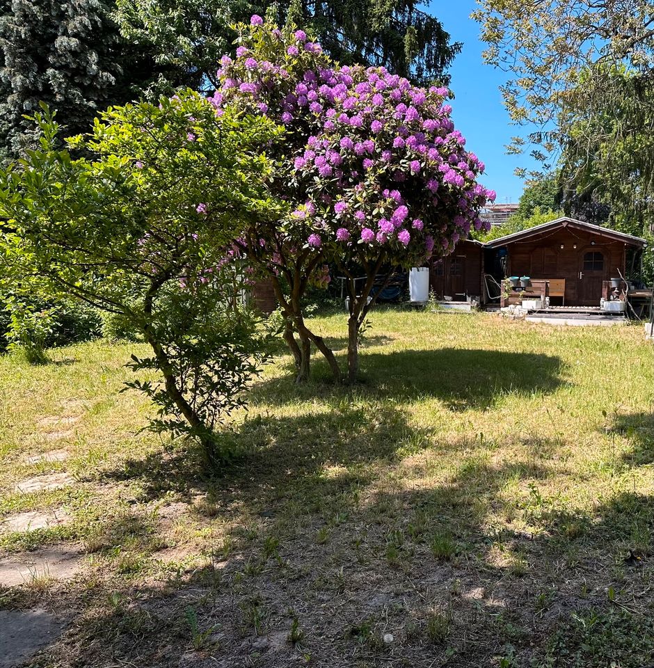 Schrebergarten in Sonnenberg mit Abstand *Pachtvertrag