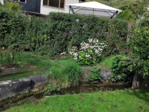 Pachtgarten von privat – Foto 5