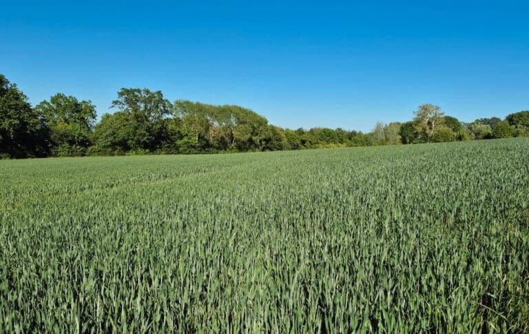 Ackerland in 30890 Barsinghausen OT, pachtfrei, 1,45 ha