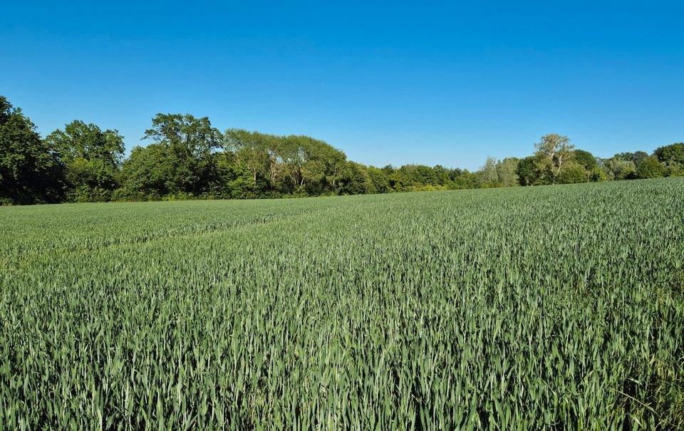 Ackerland in 30890 Barsinghausen OT, pachtfrei, 1,45 ha