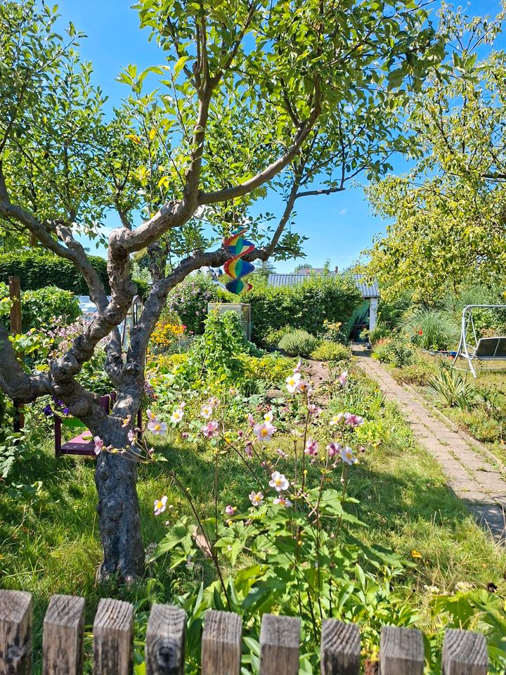 Pachtgarten/Kleingarten im KGV Freudenberg Strehlen