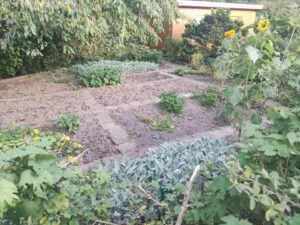 Schöner Pachtgarten abzugeben, an Gartenfreunde VB 950 – Foto 3