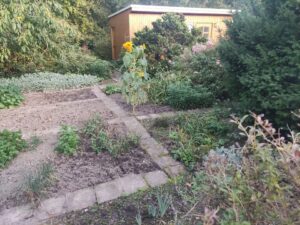 Schöner Pachtgarten abzugeben, an Gartenfreunde VB 950 – Foto 4