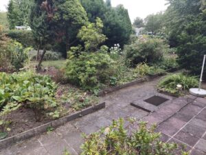 Schöner Pachtgarten abzugeben, an Gartenfreunde VB 950 – Foto 5