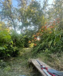 Idyllischer Garten zur Pacht – Foto 5