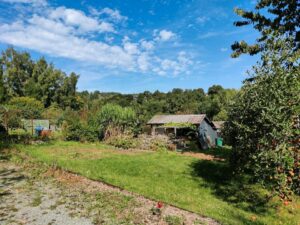 Kleingartenparzelle 250m² (Naila, Dreigrüner Weg) zu verpachten – Foto 2