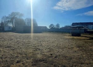 Pferde/Koppel mit Unterstand zu verpachten – Foto 2