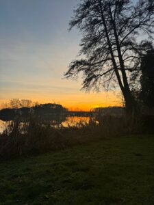 Grundstück zum verpachten – Foto 3
