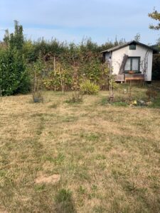 Kleingarten zu verpachten – Foto 3