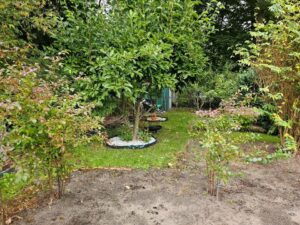 Pachtgarten – Foto 3