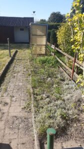Kleingarten zur Pacht – Foto 2
