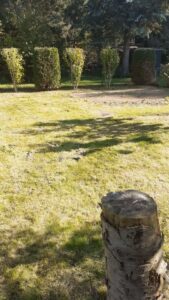 Kleingarten zur Pacht – Foto 3
