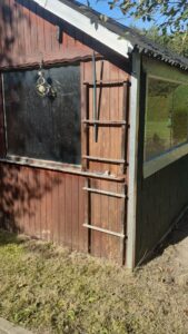 Kleingarten zur Pacht – Foto 5