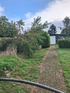Garten zur Pacht – Foto 3