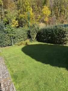 Pachtgarten zur Übernahme – Foto 3